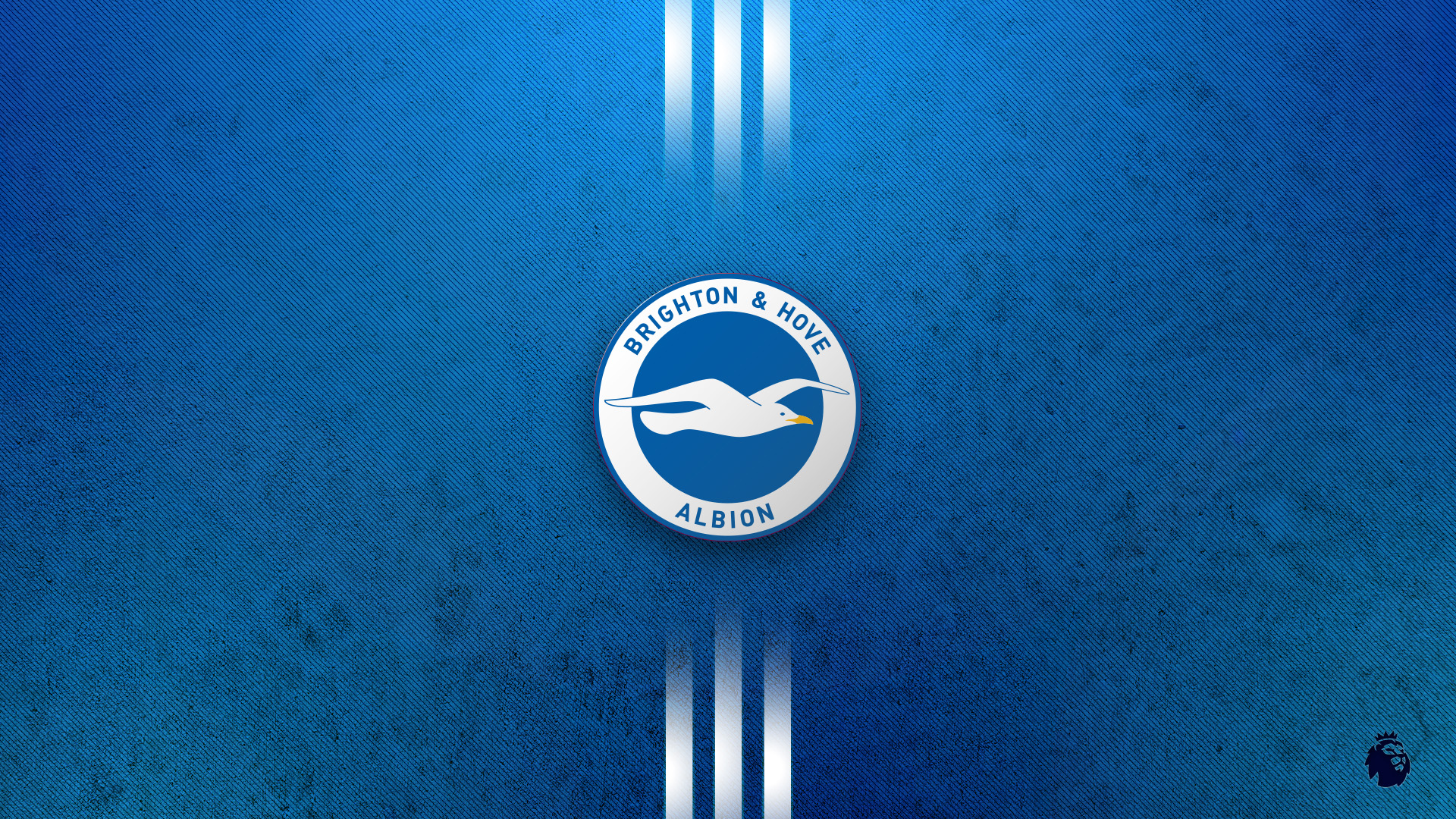 Brighton and Hove Albion