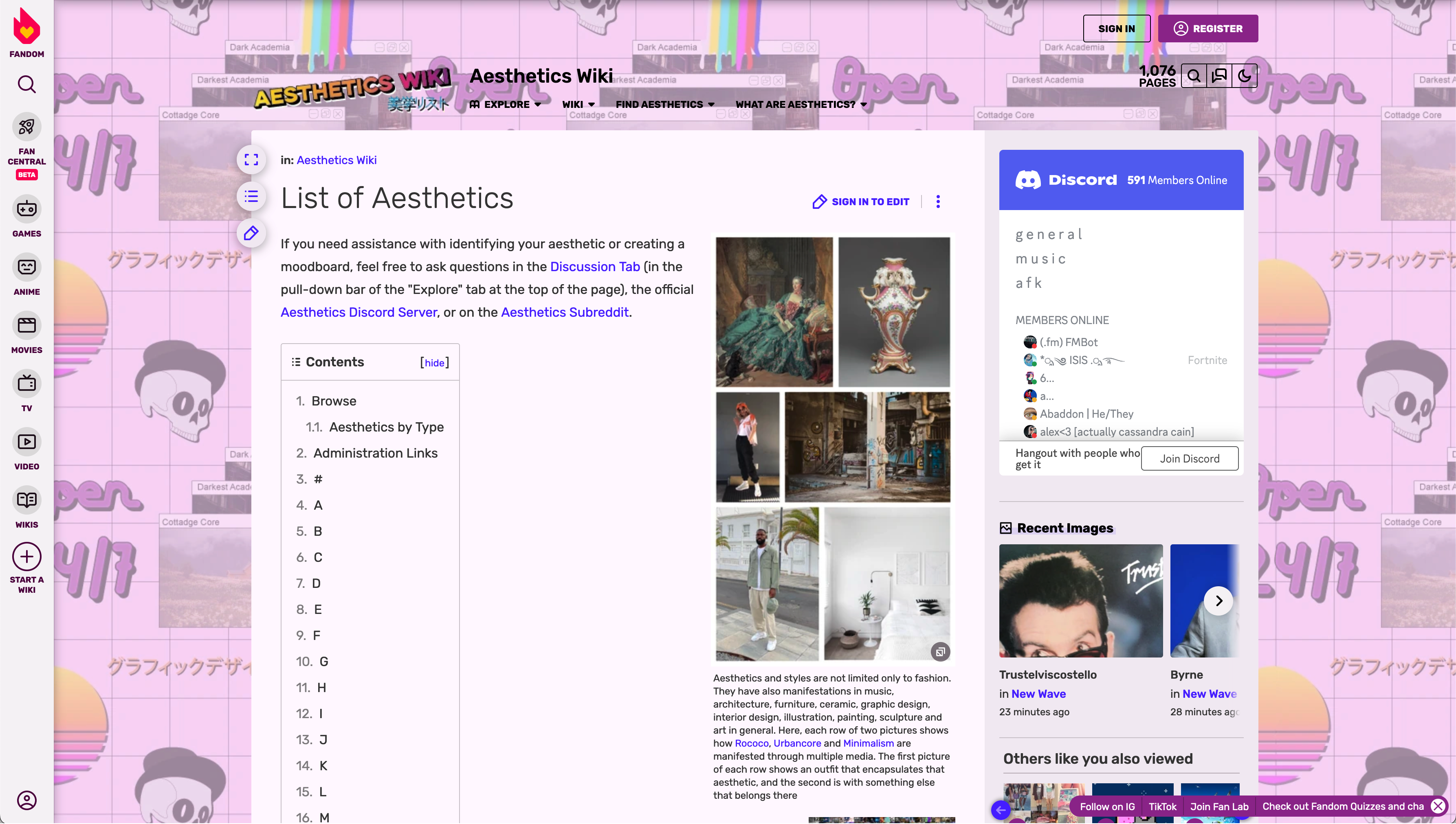 Aesthetic Wiki